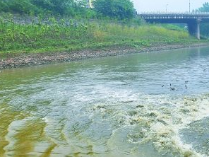 保定安国污水清运多少钱